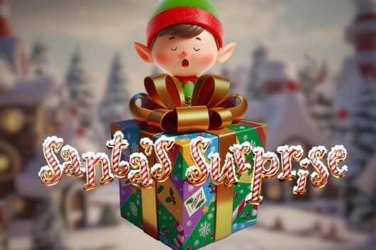 Santas Surprise